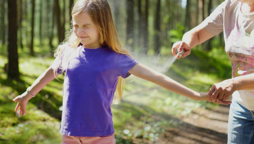 Лето. Полезные советы. Комары