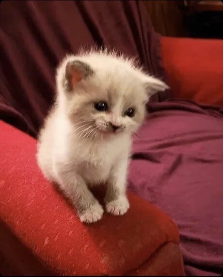 Мое лицо, когда буду читать комментарии