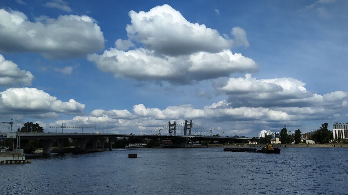 Мост Бетанкура в Санкт-Петербурге. Что видно с него, и что видно под ним |  Другие места | Дзен