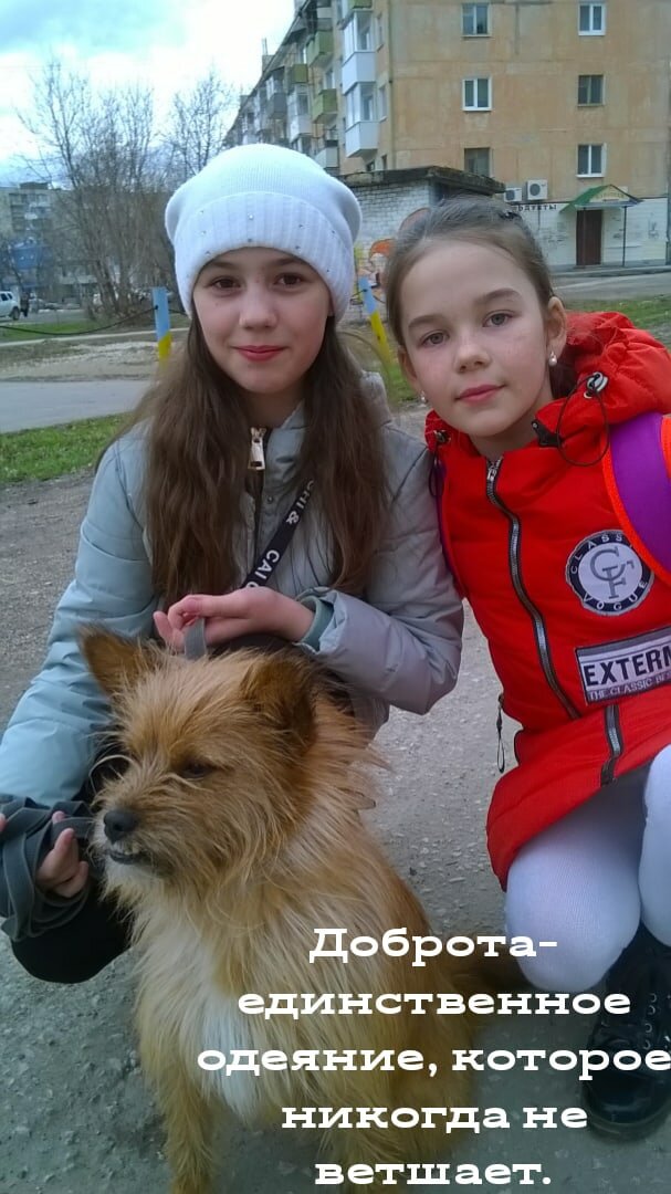 Мы бы сказали- медийная личность