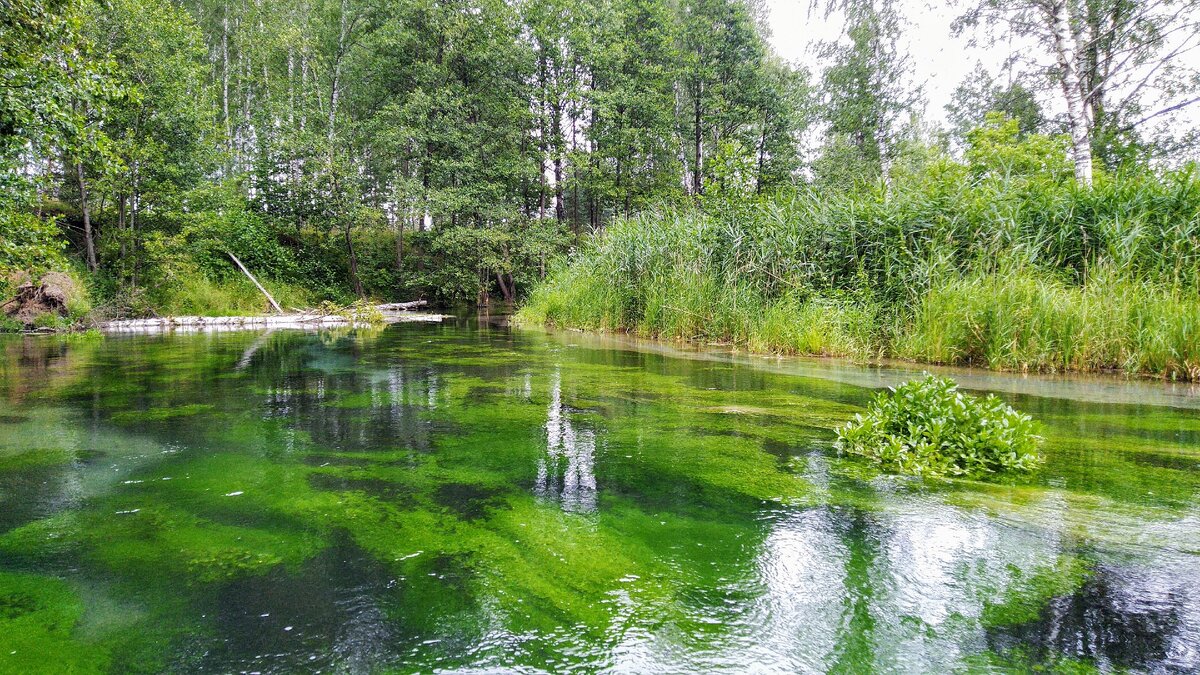 Река суринь в нижегородской области на карте