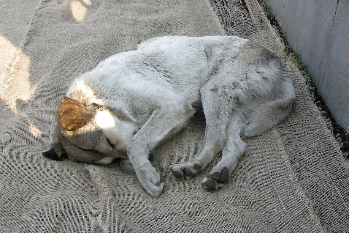 Фото из личного архива