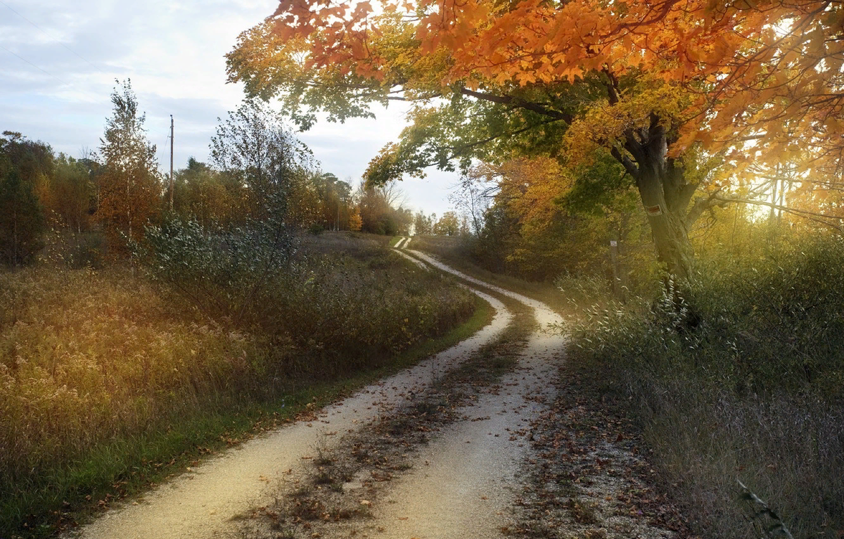 Дорога в осень. Осенняя тропинка. Осенняя Проселочная дорога. Проселочнадорога, осень.