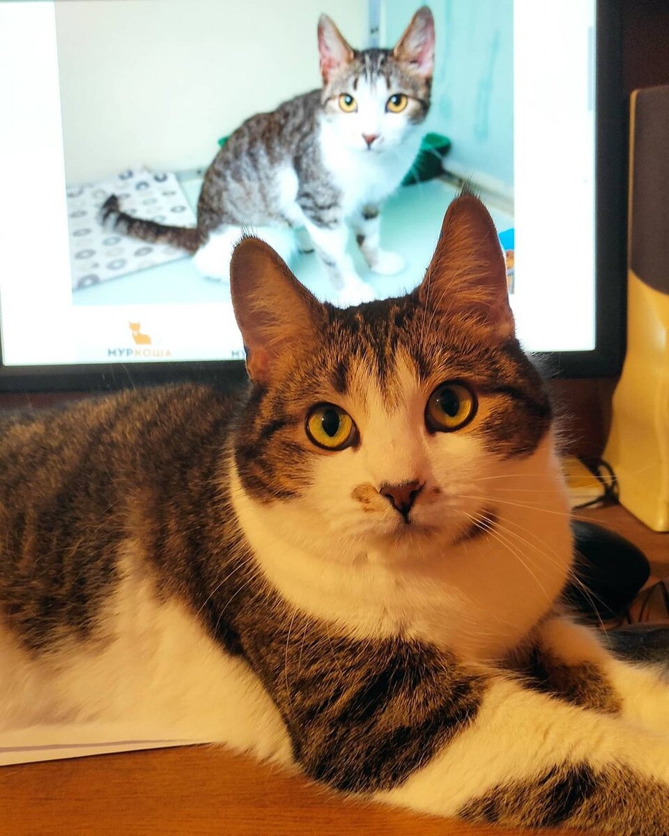 Почувствуйте разницу...