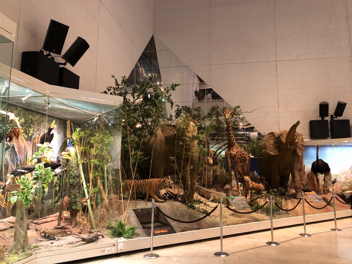 Личное фото