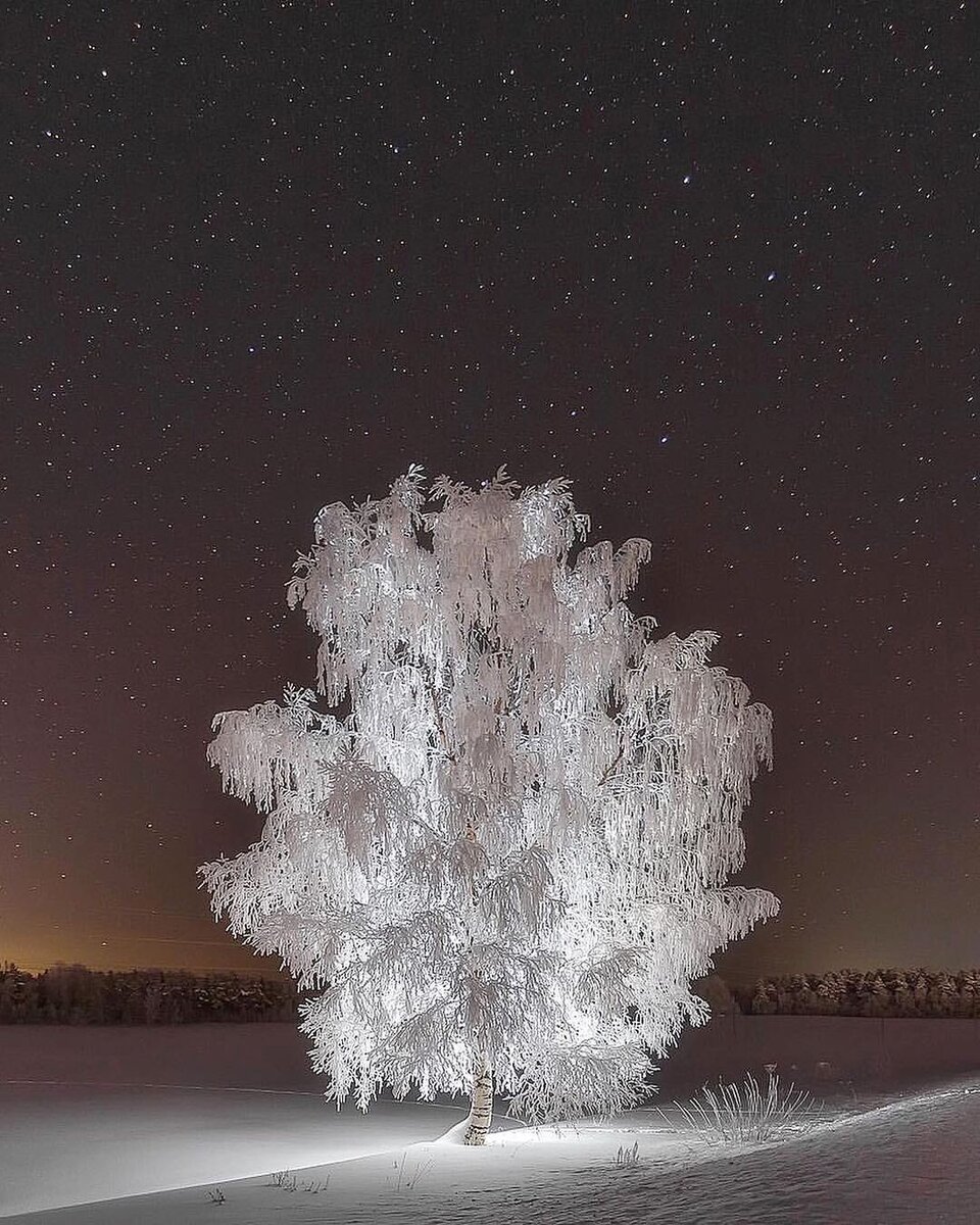 Белый пейзаж