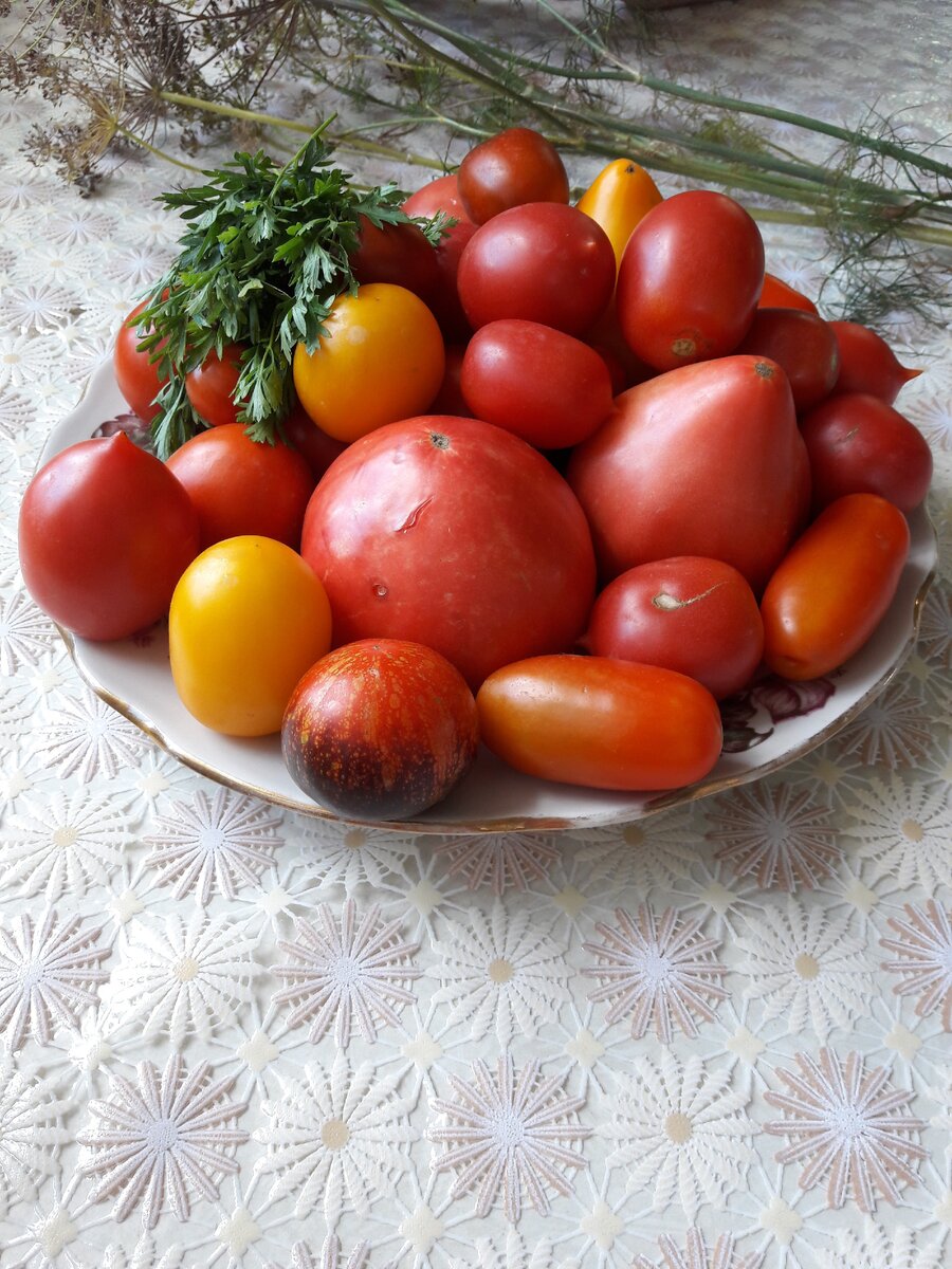 Наш урожай.