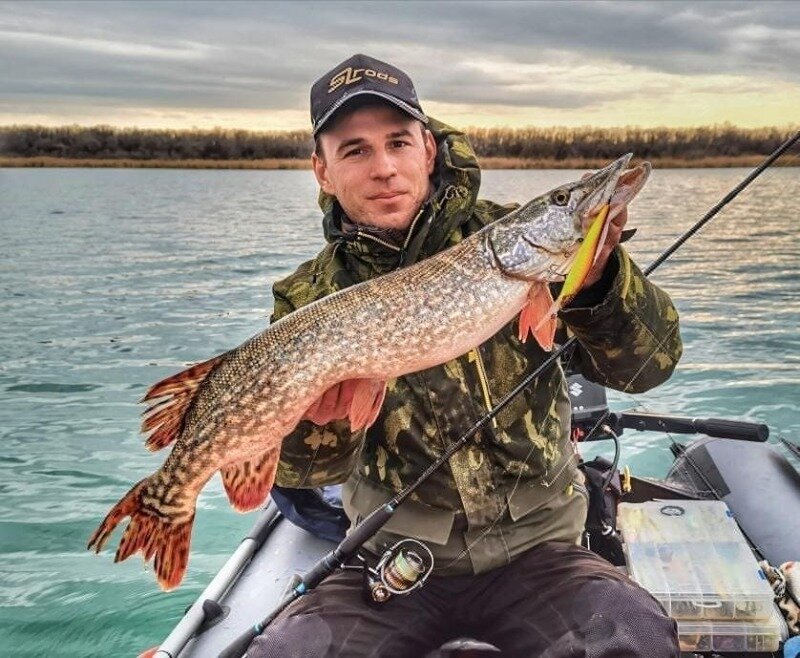 Источник фото https://www.instagram.com/p/CJxsZNGh1xi/