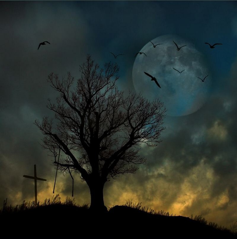 Изображение из интернета.