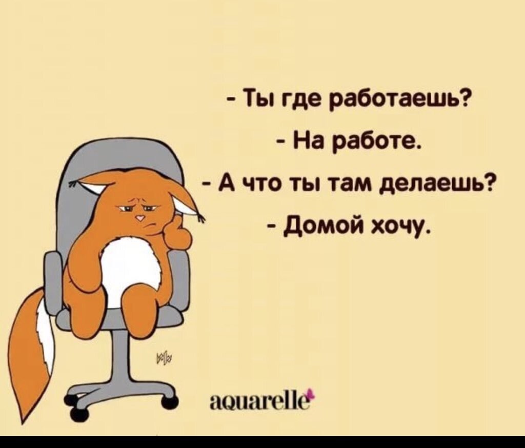 источник -Twitter