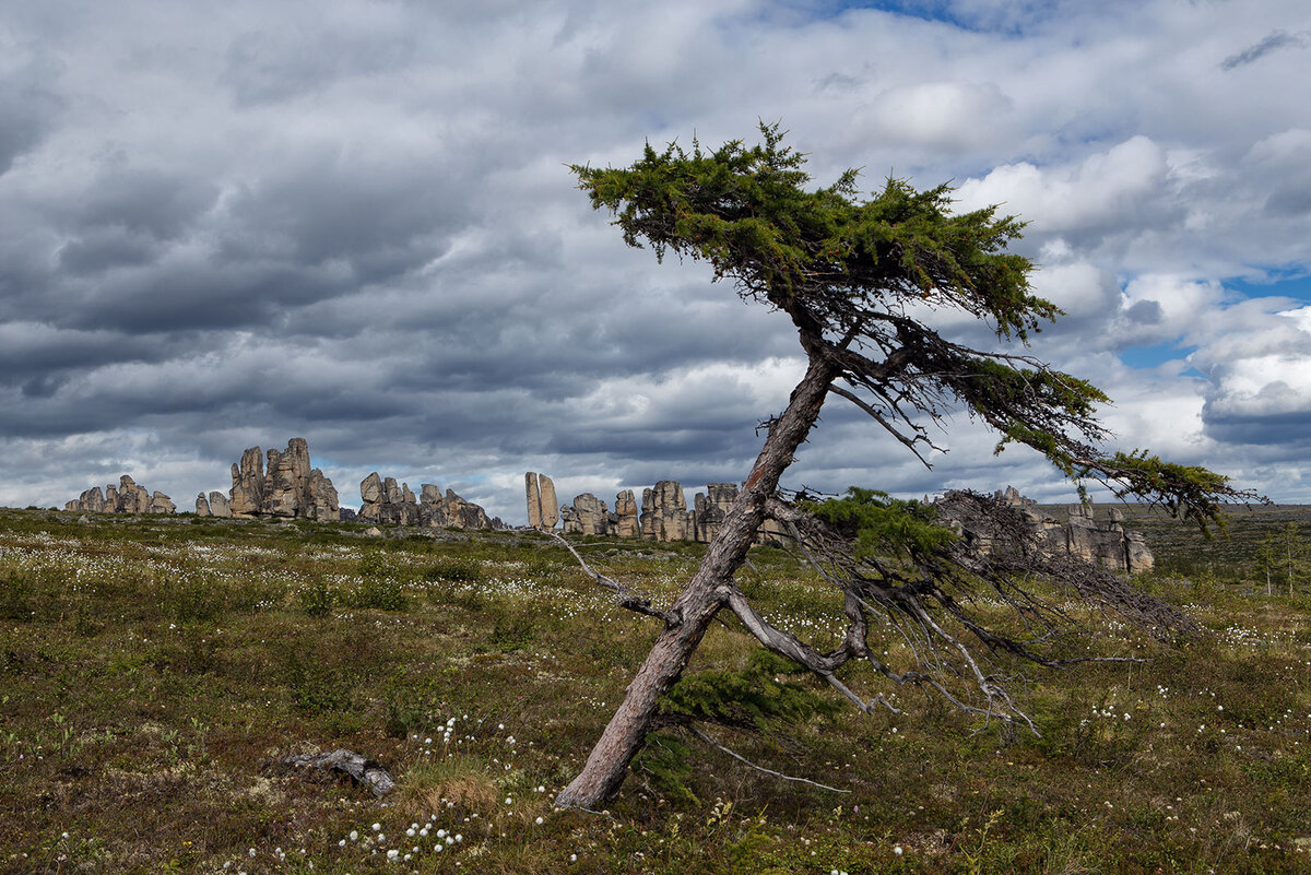 стихи про село. иван саввич никитин звёзды меркнут и гаснут. суровые камни суровый маяк. снежная буря в тундре. край любимый есенин.