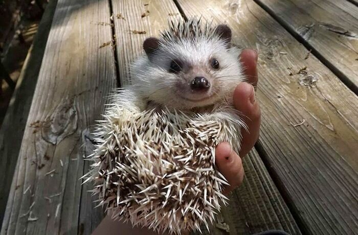 Источник: Яндекс картинки