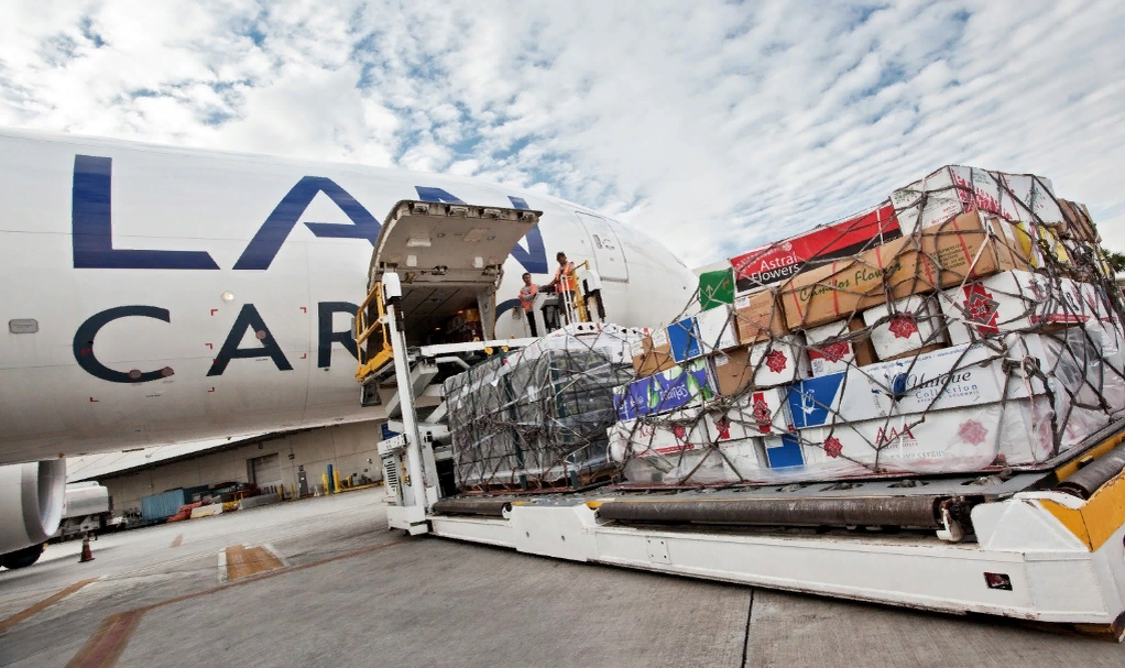 Грузовая перевозка (cargo) цветов. Загрузка в Эквадоре. В одной коробке может быть до 500 роз.
