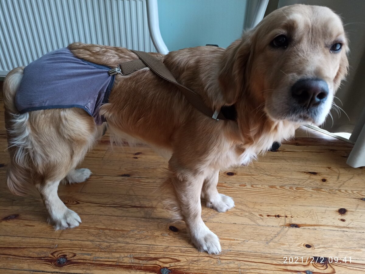 "Я точно красивая?"