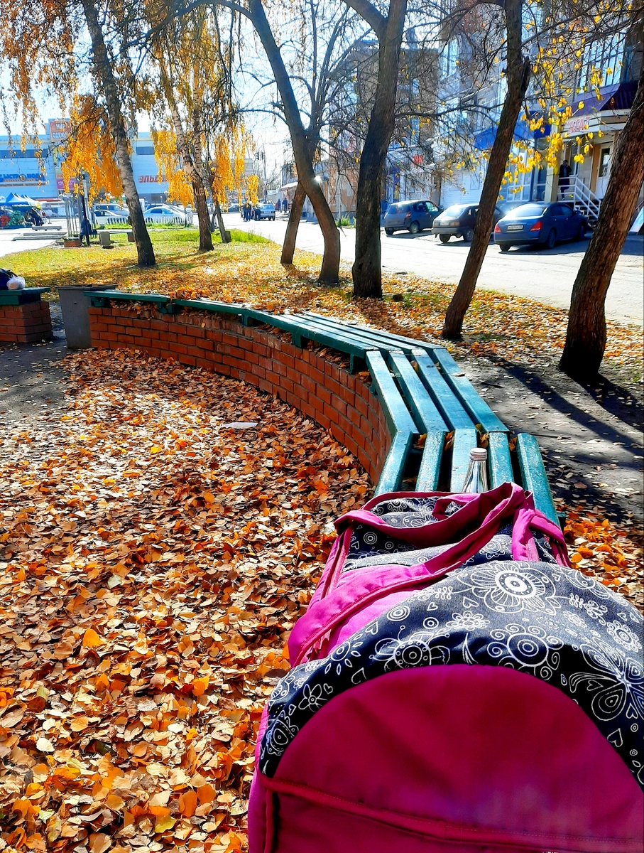 Фото с первой прогулки 