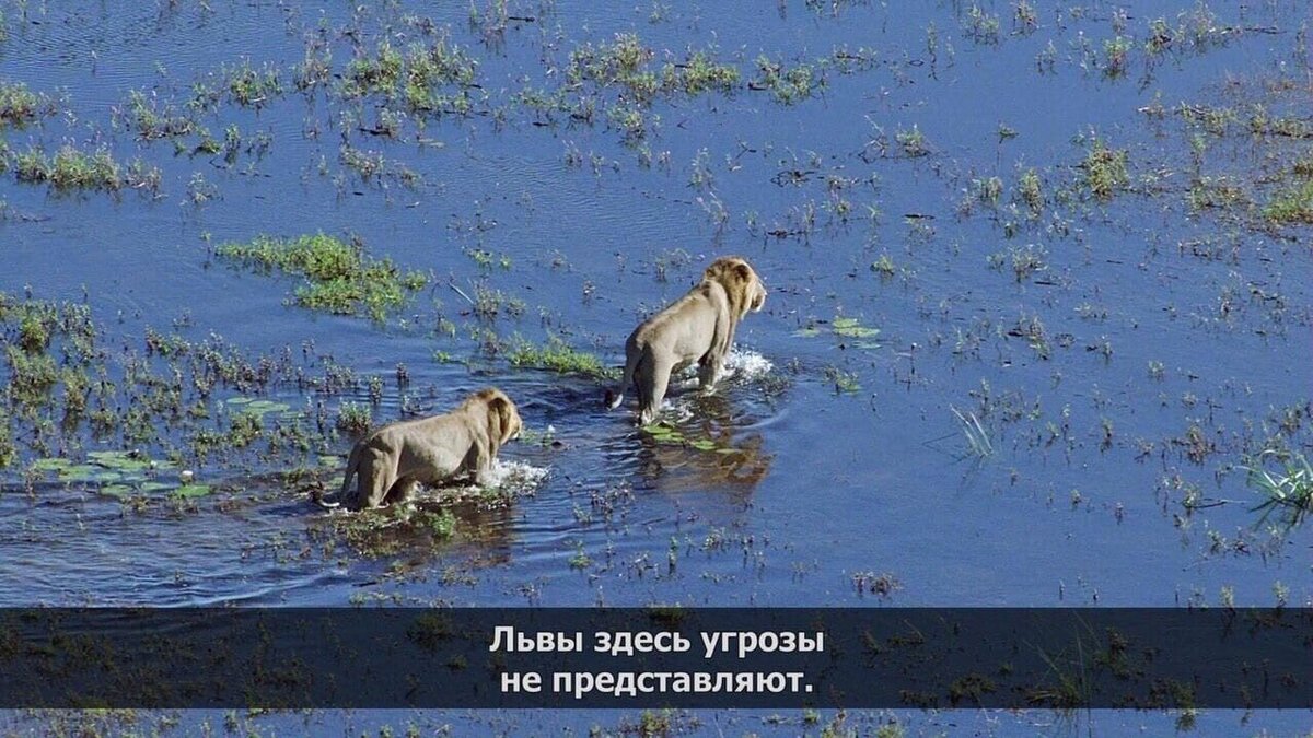 Листайте галерею!