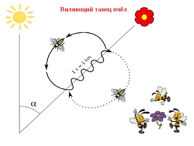 яндекс картинка