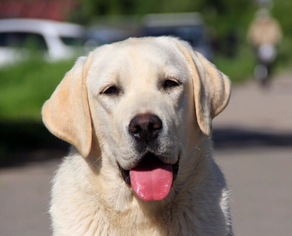 Есения (arhbeauty.com)