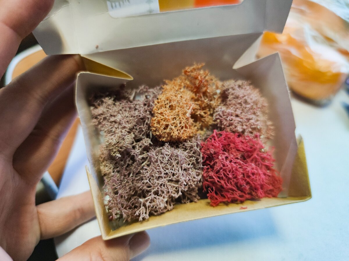 Ягель чипсы. Чипсы из ягеля вкус арктики. Чипсы из мха ягеля. Чипсы из мха ягеля. Чипсы из ягеля вкус севера.