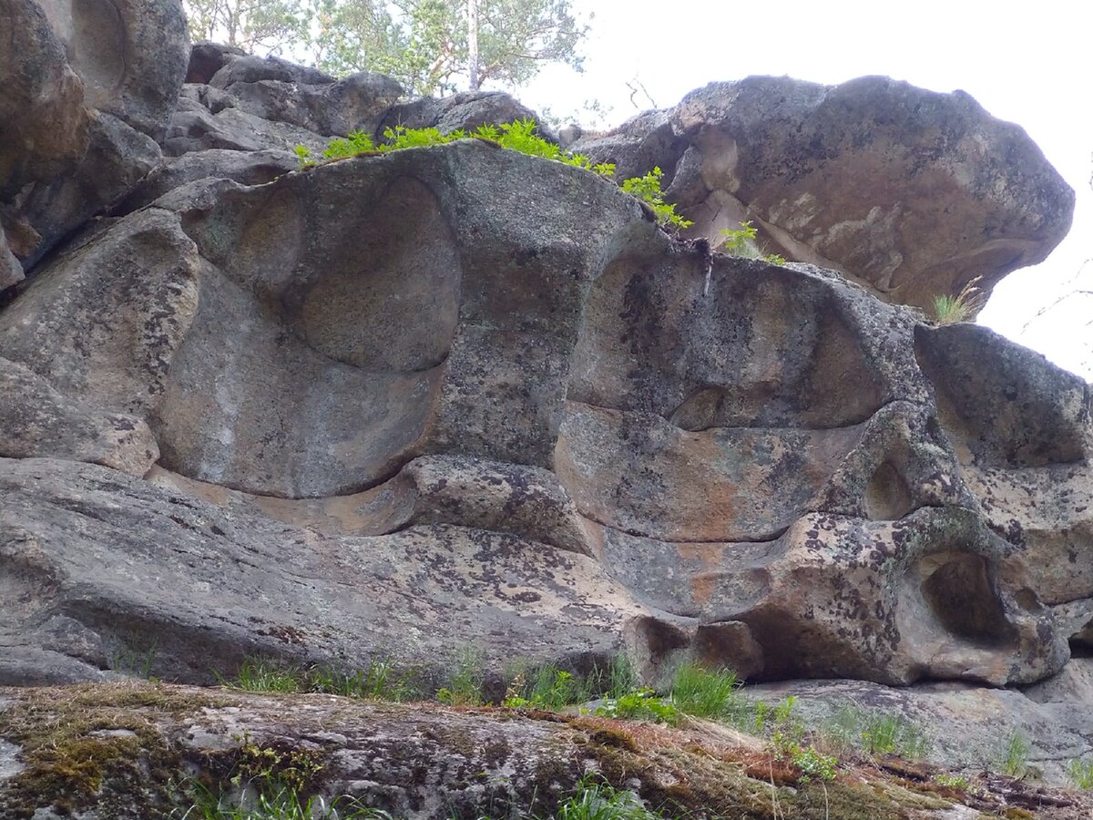 Чашковский хребет. Гора Голуха