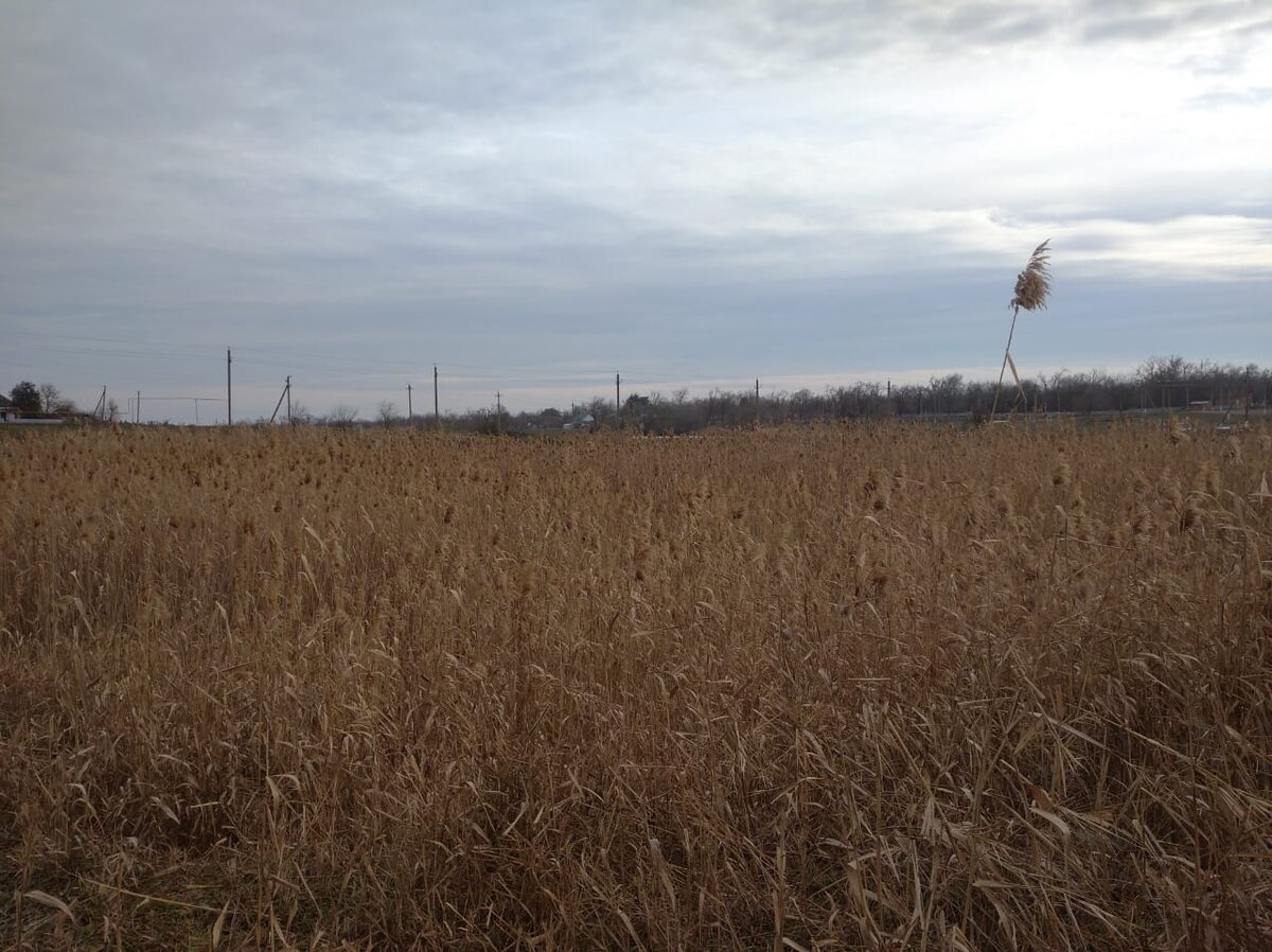 Фото Вероники Алекс