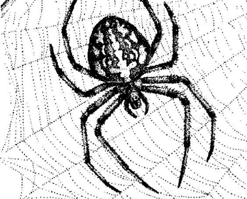 Картинка взята из свободного доступа в интернете