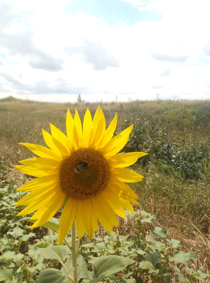 Яркости вам в ленту))