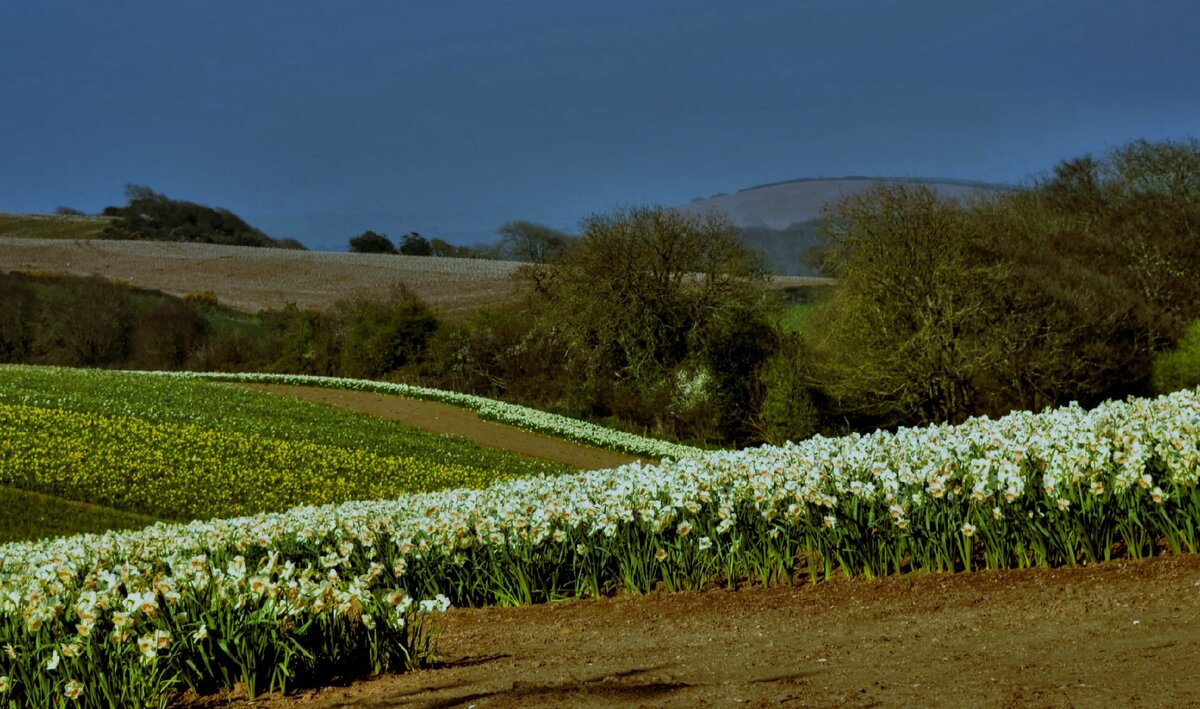 (фото: 1zoom.ru; flick.com; fotokto.ru; goodfon.ru; pixabay.com)