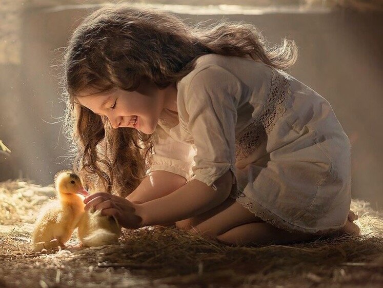 Фото из интернета