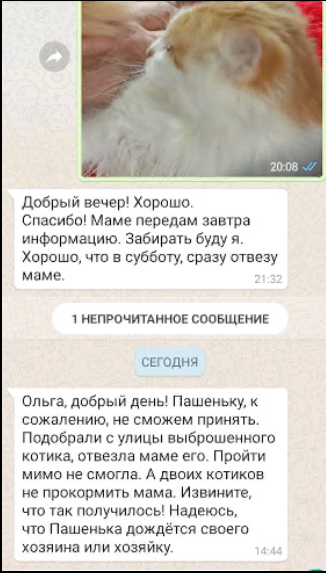 Скрин переписки в Ват Сабе.