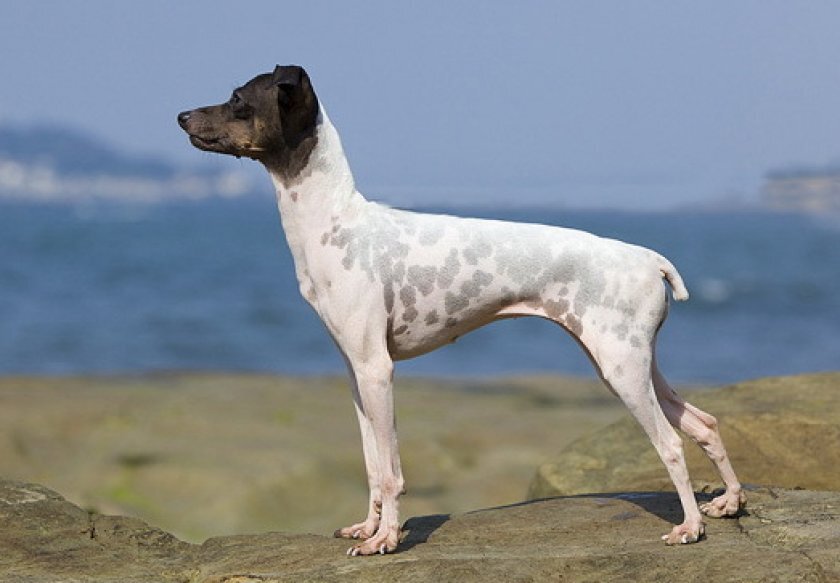 Пока безымянный. https://clck.ru/Tdccc