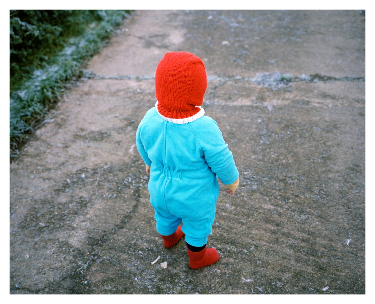 Морозное утро. Photo by Sian Davey