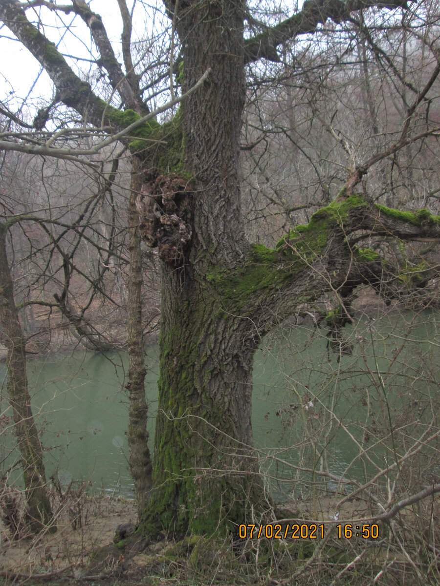 река Луда Камчия