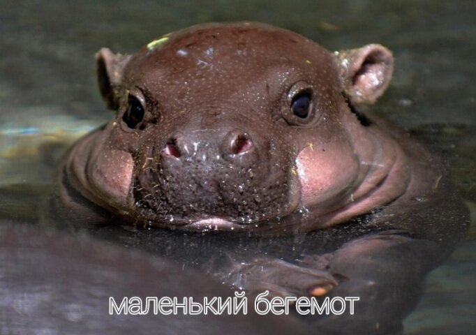 Очень милый малыш