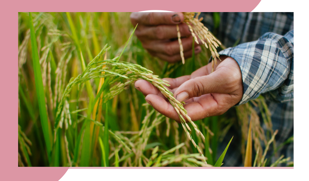 Фотография из открытых источников