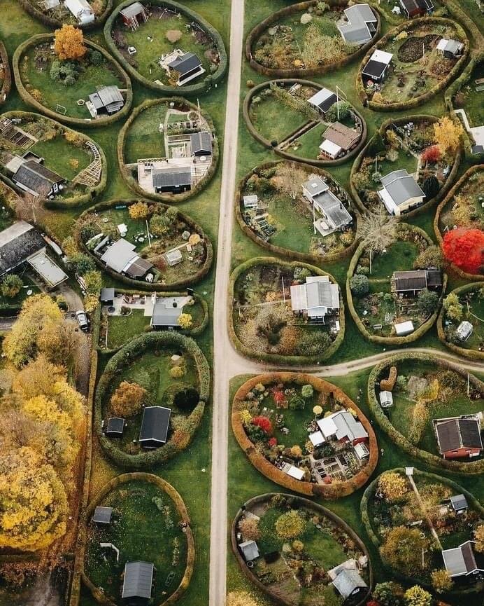 Фото: открытые источники 