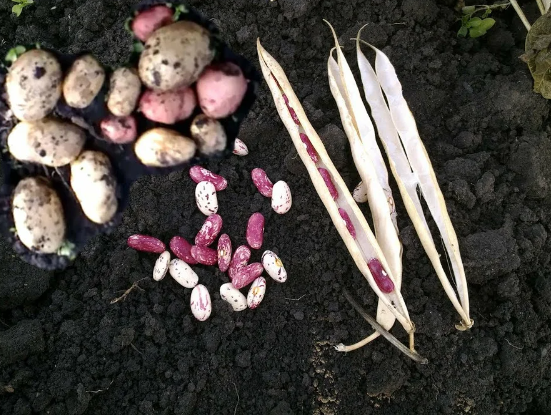 Добавьте описание