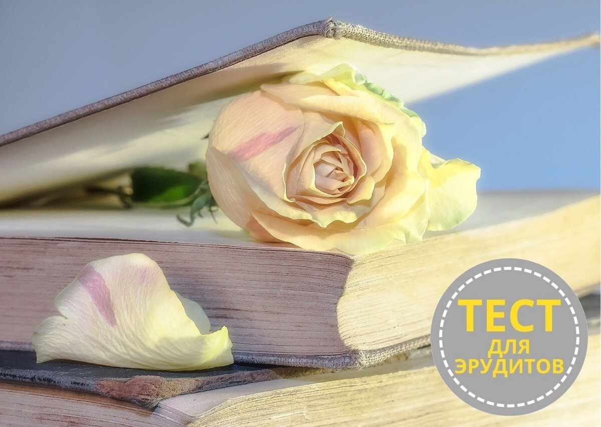 Источник изображения: pixabay.com, дизайн автора