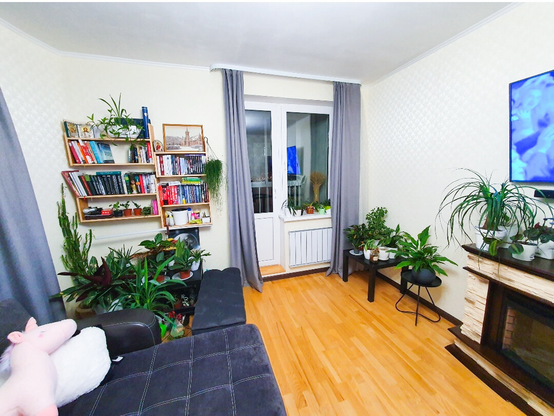 Вот так выглядела зона жизни всех моих растений – куча непонятных листьев где-то почти на полу...