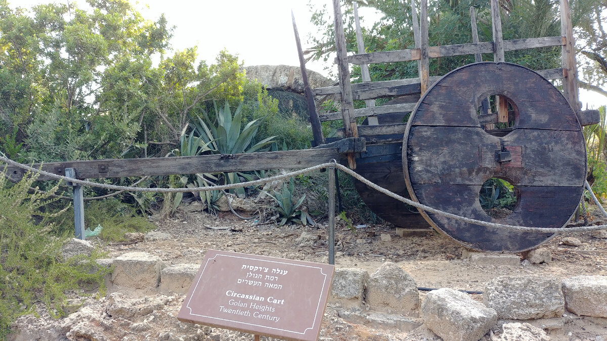 На табличке написано на иврите и английском: Черкесская телега, Голанские высоты, двадцатый век.