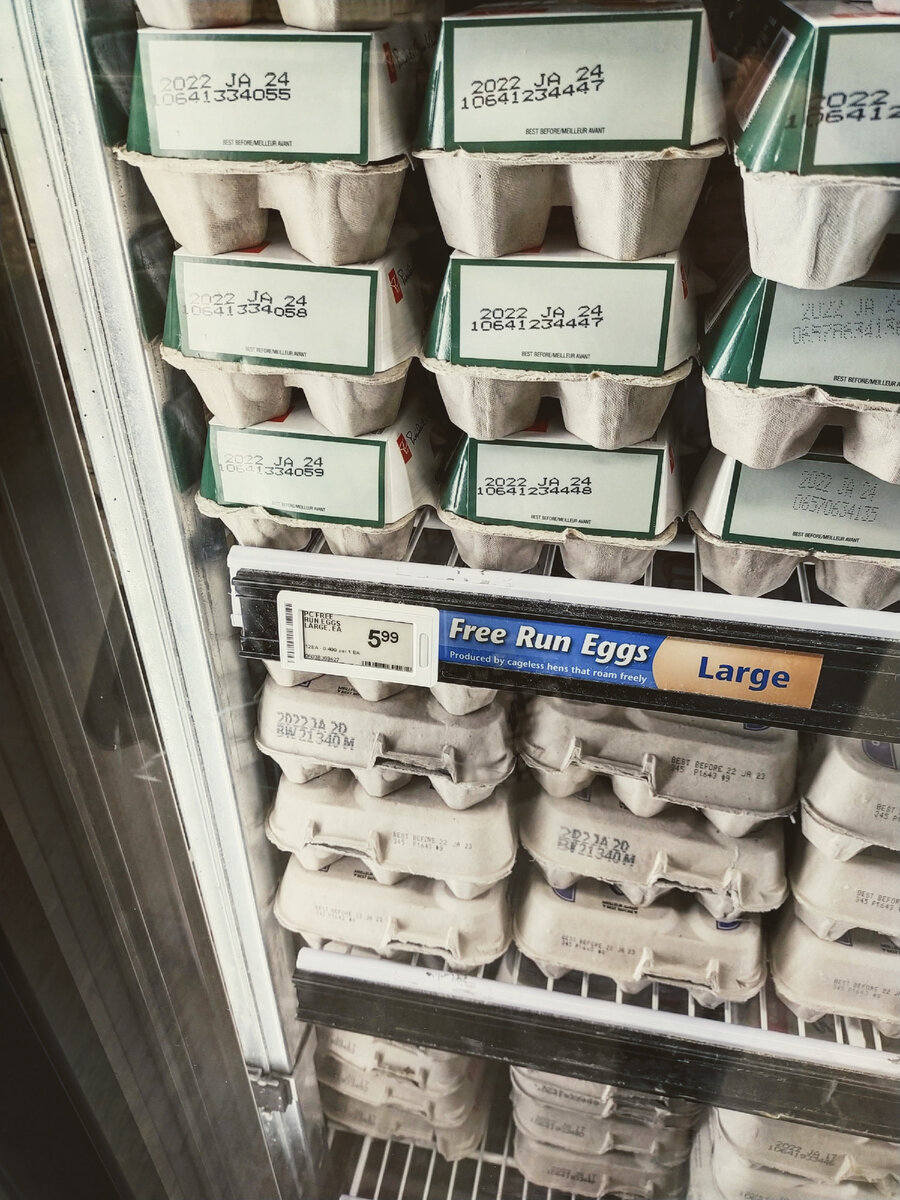 Free Run Eggs. Буквально "свободно бегущие яйца". Яйца от курочек, которые пасутся на свободе, а не сидят в клетке. 6 долларов за 12 штук. Не зря же говорят, что свобода - самое дорогое в жизни. 