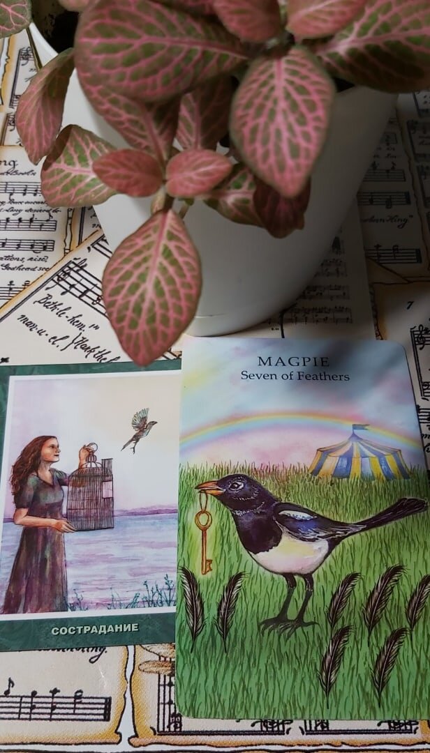 Колоды: "The Animal Wisdom Tarot" и МАК "Десять Ступеней Дзен"