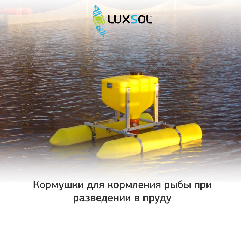 Кормушки для кормления рыбы при разведении в пруду в России