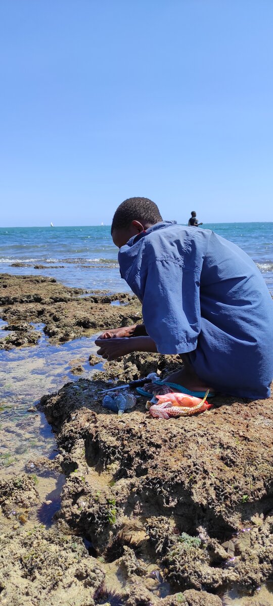 Рыбка из океана.