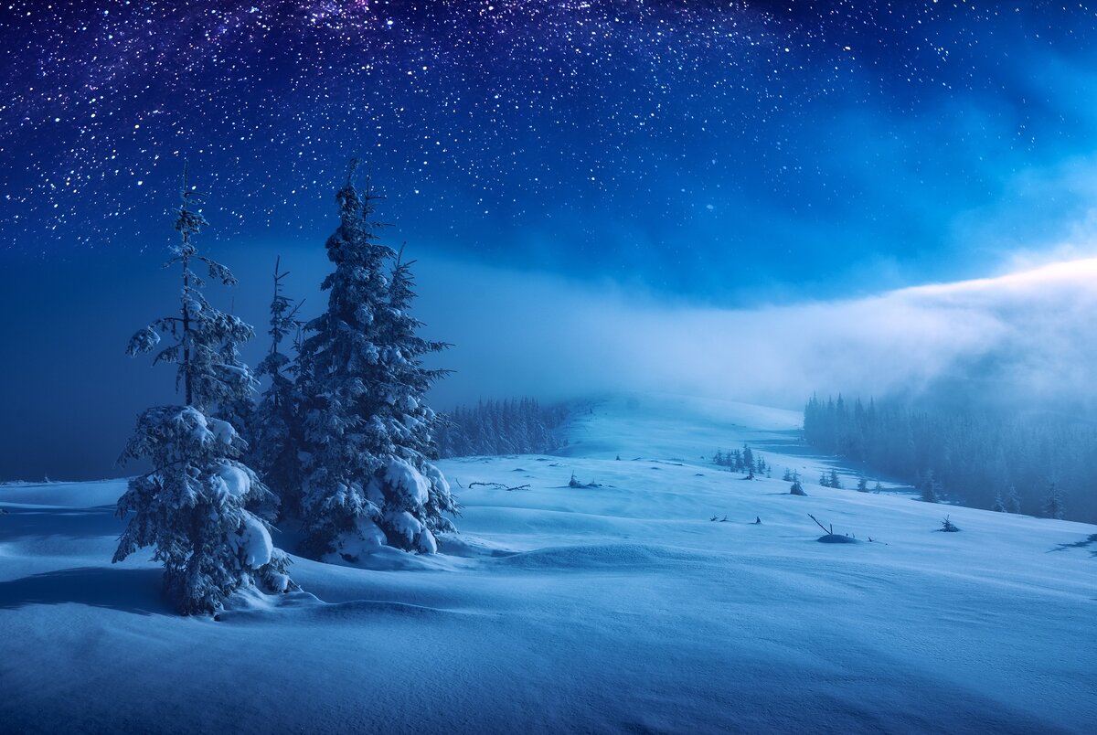 Фото: shutterstock.com