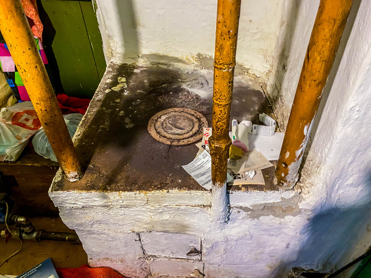 Путешествуя по Рязанской области, заехали мы в одну глухую деревеньку и там встретили местную жительницу - бабульку.-6