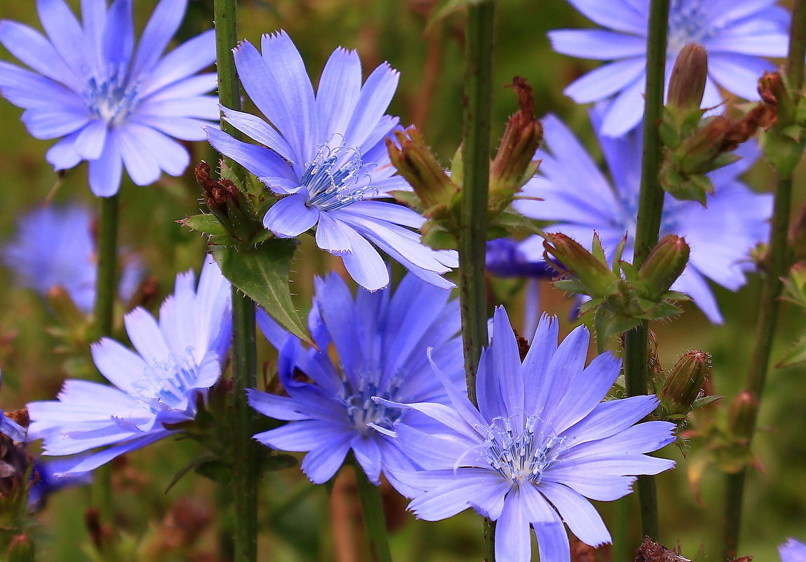 Фото источник eda-land.ru