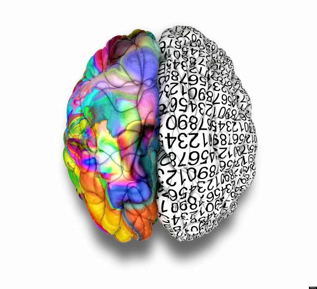 Ведомое полушарие. Полушария мозга. Два полушария мозга. Левое и правое полушарие мозга. Разноцветный мозг.