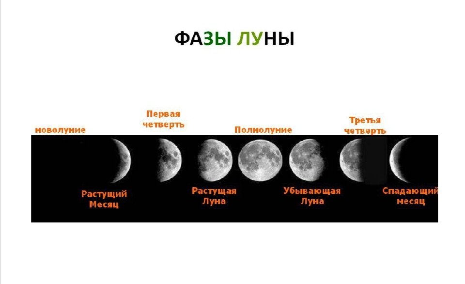 Фазе находится сейчас луна