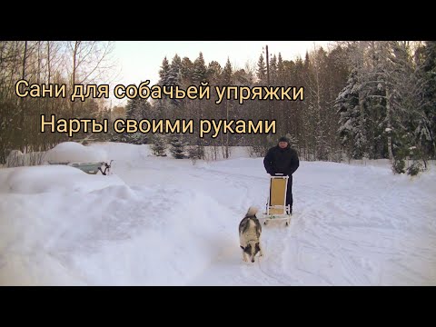 Собачья упряжка: рожденные бежать